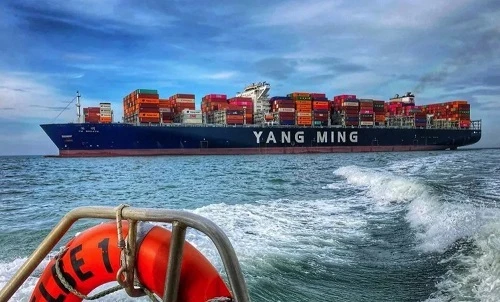 China-Russia FCL Shipping best